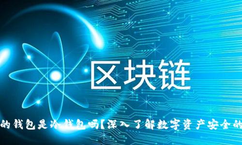 欧意的钱包是冷钱包吗？深入了解数字资产安全的选择