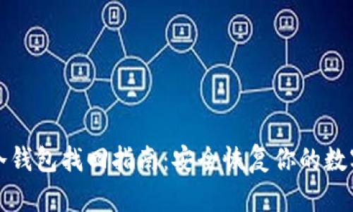 波宝冷钱包找回指南:安全恢复你的数字资产