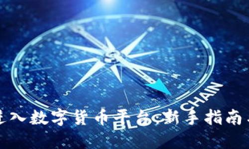 如何顺利进入数字货币平台:新手指南与最佳实践