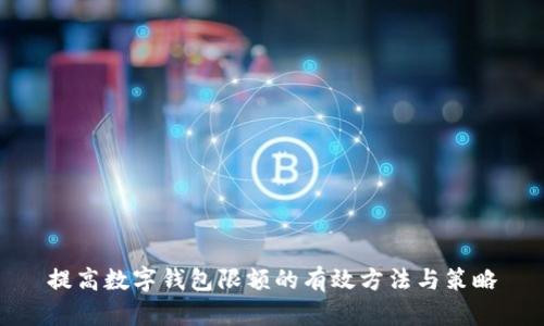 提高数字钱包限额的有效方法与策略
