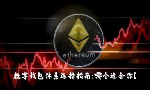 数字钱包体系选择指南:哪个适合你?