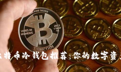 最专业的比特币冷钱包推荐：你的数字资产安全之选