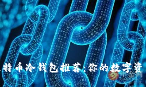 最专业的比特币冷钱包推荐：你的数字资产安全之选
