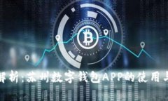 全面解析：苏州数字钱包APP的使用与优势