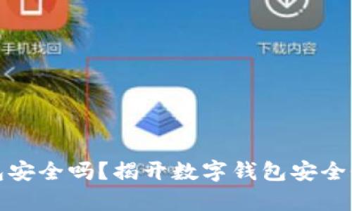 数字钱包安全吗？揭开数字钱包安全性的真相