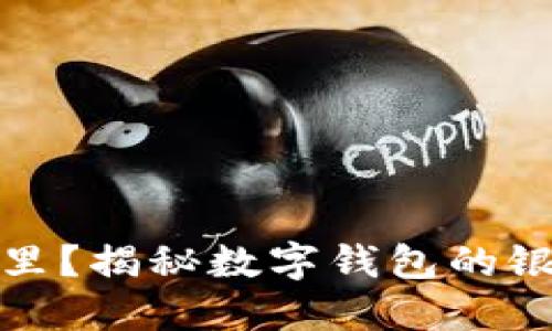 你的数字钱包在哪里？揭秘数字钱包的银行编号及其重要性