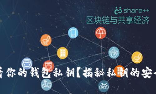 如何查看你的钱包私钥?揭秘私钥的安全与管理