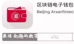 如何选择最适合你的数字加密钱包：一份详细指