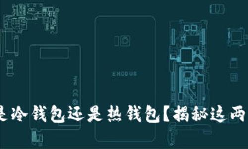 Keystore到底是冷钱包还是热钱包？揭秘这两者的区别与应用