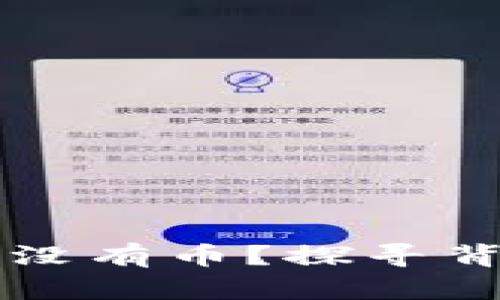 导入助记词后钱包没有币？探寻背后原因与解决方案