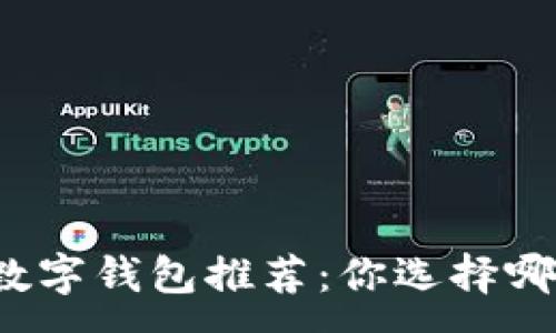 :
苹果手机数字钱包推荐：你选择哪款最合适？