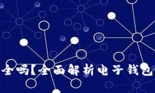 数字电子钱包安全吗？全面解析电子钱包的安全性与风险