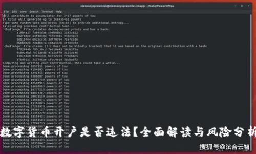 数字货币开户是否违法？全面解读与风险分析