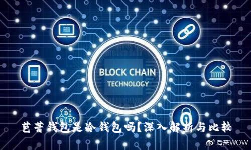 芭蕾钱包是冷钱包吗？深入解析与比较