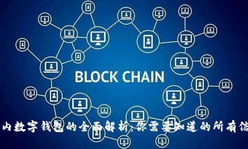 国内数字钱包的全面解析：你需要知道的所有信息