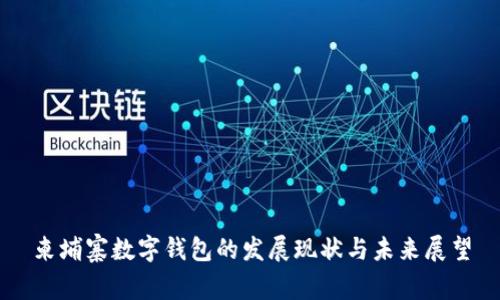 柬埔寨数字钱包的发展现状与未来展望