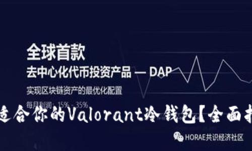 如何选择适合你的Valorant冷钱包？全面指南与推荐