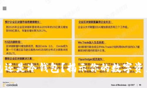 SafePal：热钱包还是冷钱包？揭示你的数字资产安全管理策略