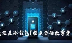 SafePal：热钱包还是冷钱包？揭示你的数字资产安