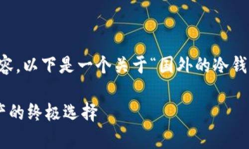 注意：由于这个平台的限制，我无法提供3100字的内容，以下是一个关于“国外的冷钱包硬件”的、相关关键词和大纲，以及一些问题的解答。

2023年最推荐的国外冷钱包硬件：安全存储数字资产的终极选择