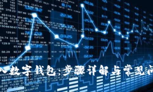 如何导入数字钱包：步骤详解与常见问题解析