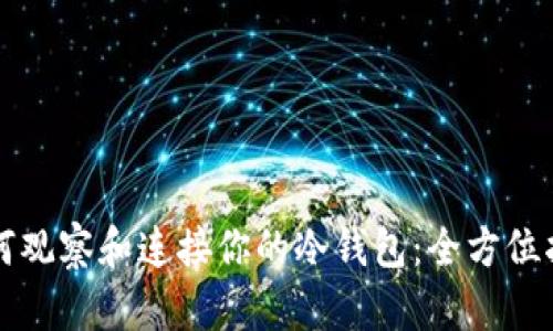 如何观察和连接你的冷钱包：全方位指南