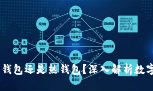 Plus Token是冷钱包还是热钱包？深入解析数字货币钱包的分类