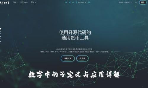 数字中的子定义与应用详解